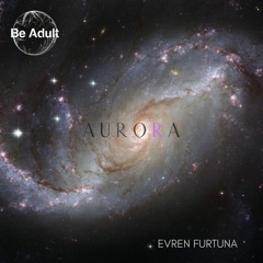 Evren Furtuna - Aurora (Original Mix)