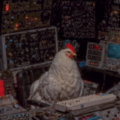 / Together at the Edge of Chaos: part 2/