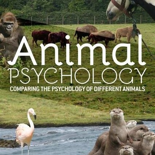 Stream Animal Behaviour Books Pdf by ContreOnistpe | Listen online for free  on SoundCloud