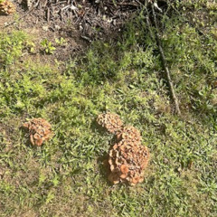 this moment (Omelettes and Pancakes) [demo]