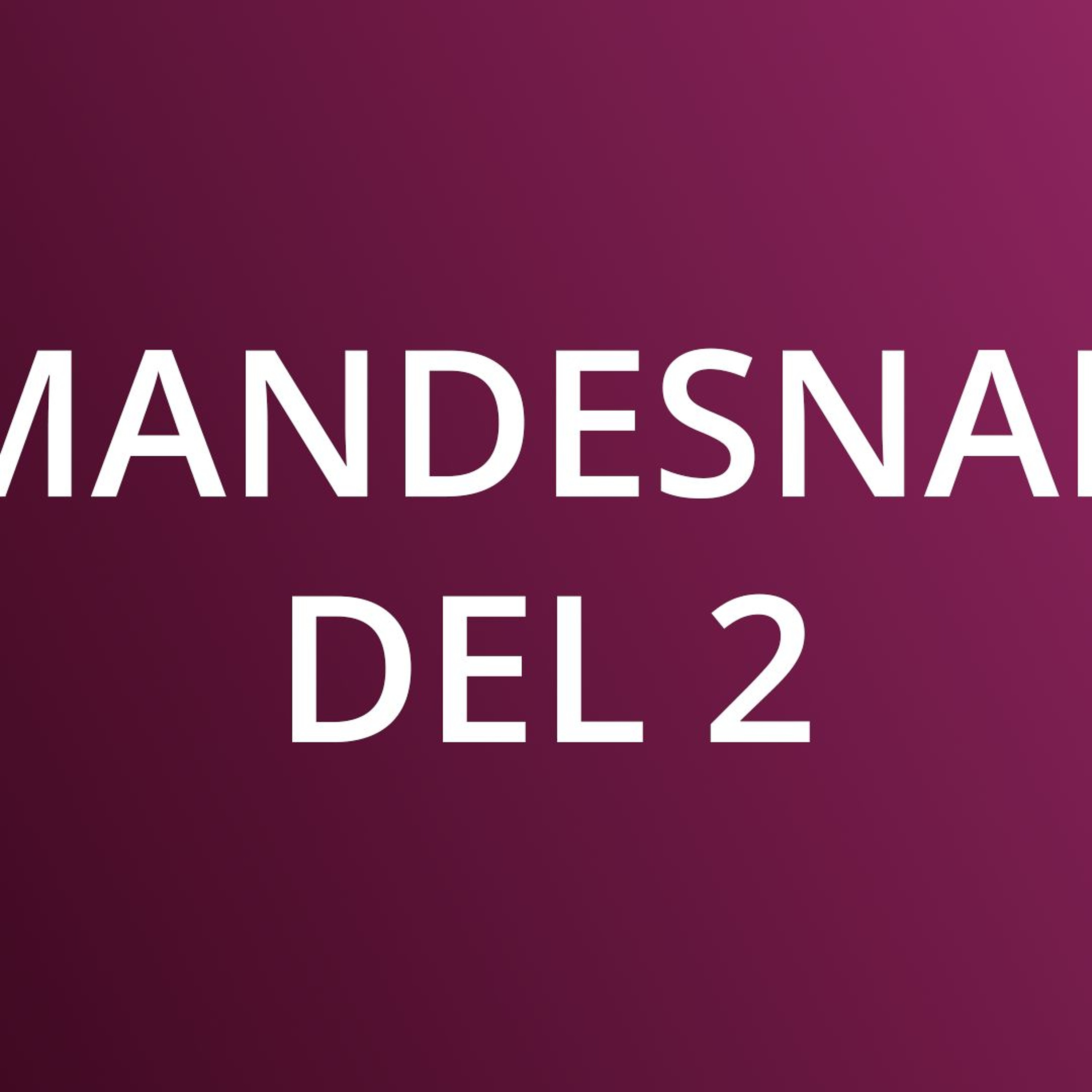 Afsnit 8 - Mandesnak del 2