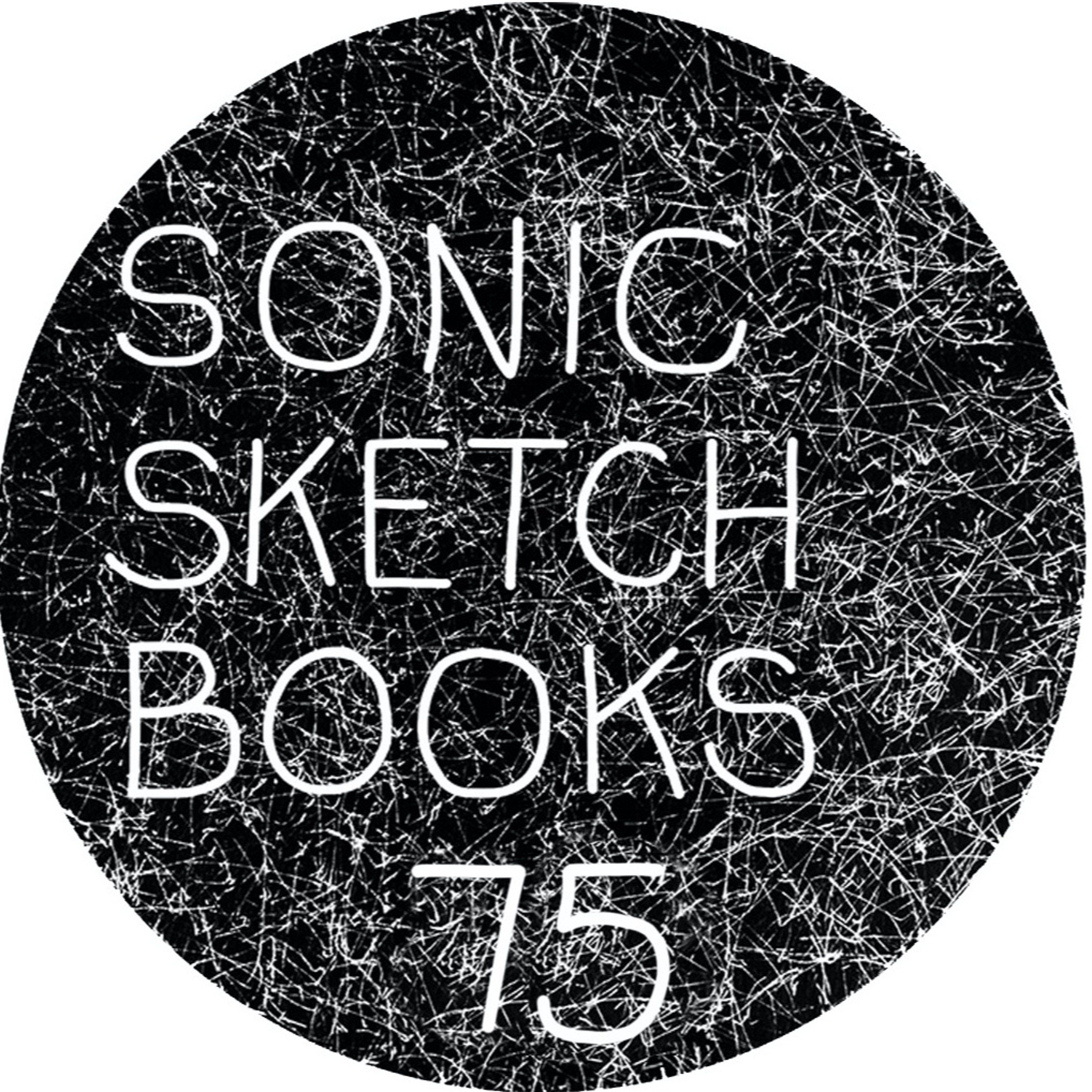 sonic sketchbooks