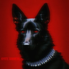 Kyote Summers W/ Blkswn, Romain Barazer