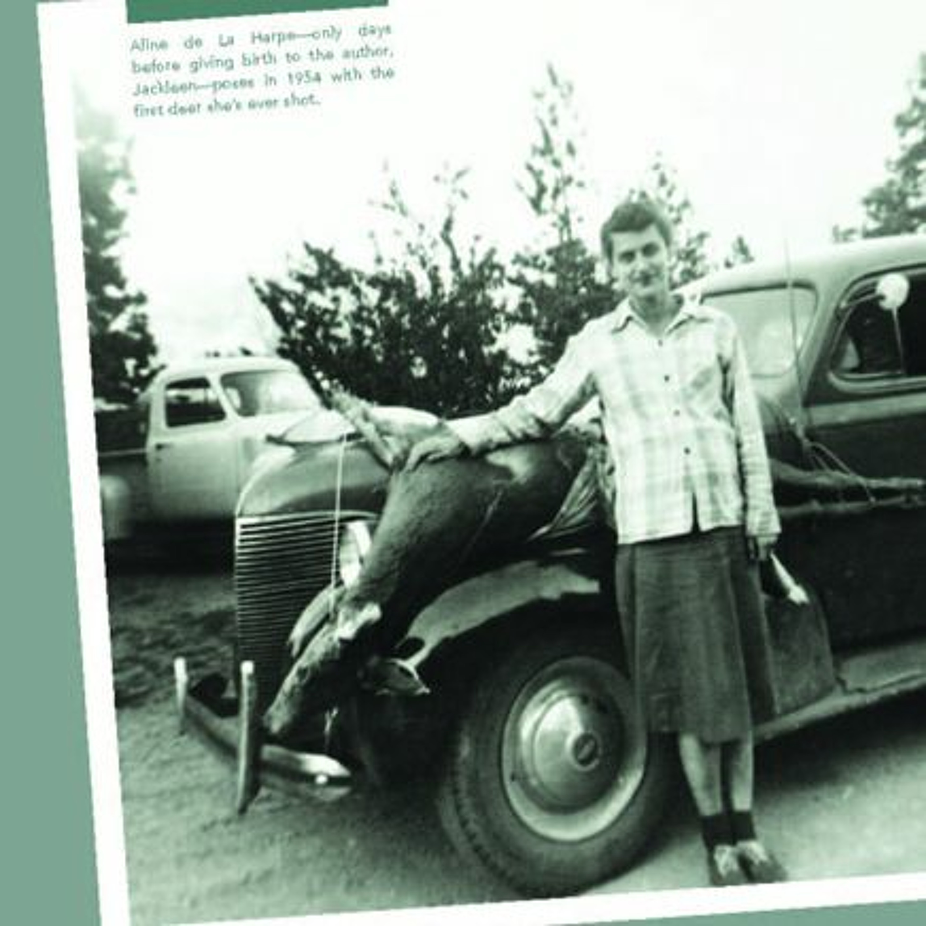 Seed Story Broadcasts