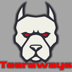 Tearaway Show. Konic B2B Norfy Zebba Jlevels Maximus.