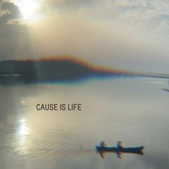 Cause Is Life
