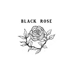 the rose - black rose