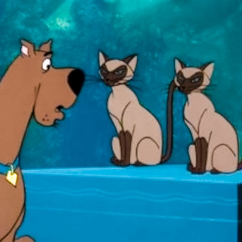 what's new scooby-dooo