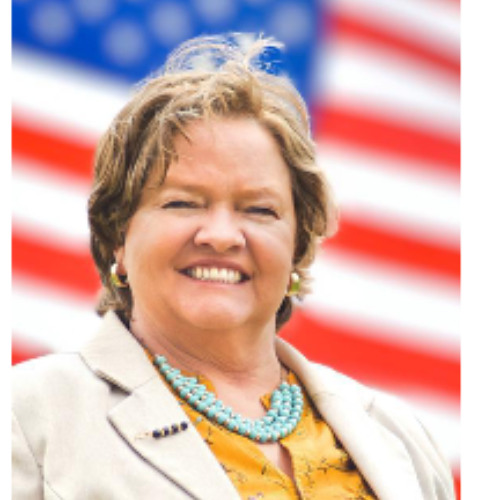 District 34 State Senate Race: Marsha Craner Interview