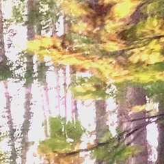 greaser cover (Autumns vocal song/Mix.v1)