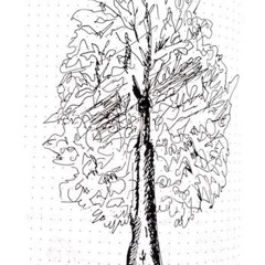 une nuit au jardin des plantes de Nantes