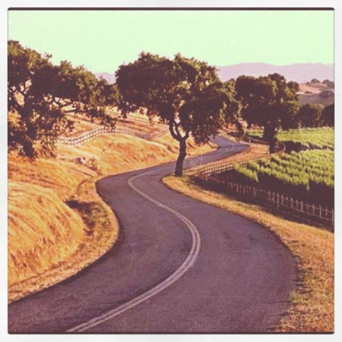 laker - tahoe range rove (prod. b9tum0r) #roachmafia