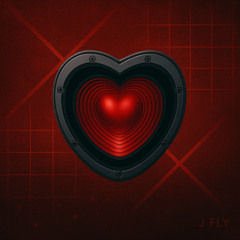 Stereo Love - J FLY