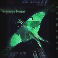 Her Green Eyes Drew Me In