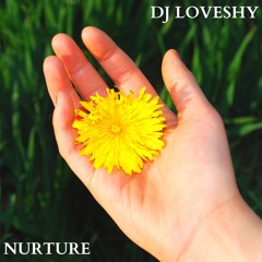 dj loveshy - Nurture