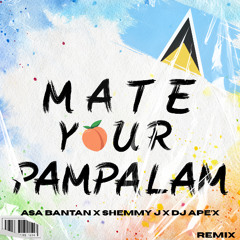 Maté your Pampalam - Asa Bantan feat Shemmy J - Remix By DJ Ape'x
