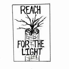 Audio Companion: "Reach for the Light" (4/30/20)