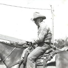 Lessons From A Cowboy
