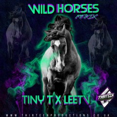 FREE DOWNLOAD-Tiny T x LeeTv- Wild Horses.mp3