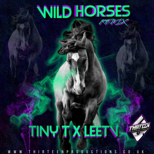 FREE DOWNLOAD-Tiny T x LeeTv- Wild Horses.mp3