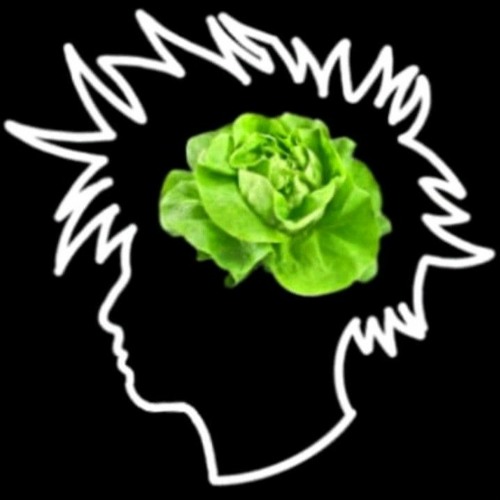 shotty 4hf - deep in soil (Danny Ocsid Remix)