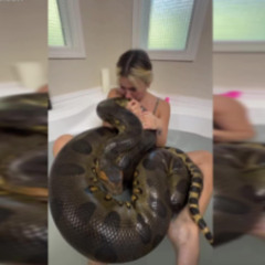Authentic 18+] girl fifty one girl 50 snake one snake video