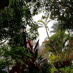 Underneath The Mango Tree (prod. by Spvceman)