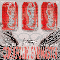 COKAFONIK GYMNASTIK: THE AWAKENING OF THE SONIC CHANT