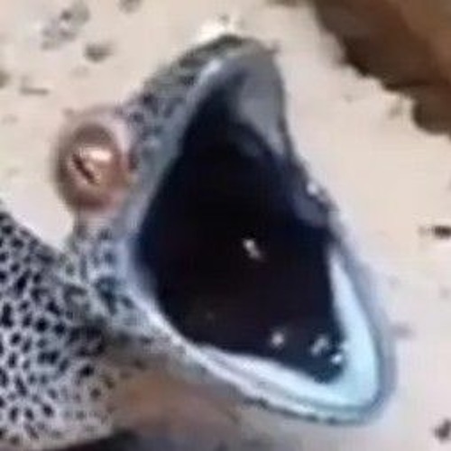 God Forgives But I Don't