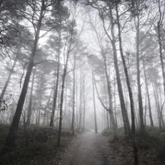 franco foresta