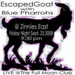 EscapedGoat: Isn't It Amazing?!