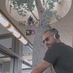 Principale Vibez 2021