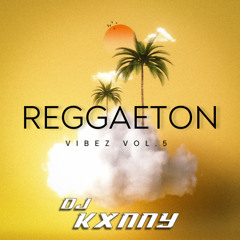 Reggaeton Vibez Vol. 5