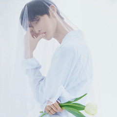 웨딩드레스 - 배진영