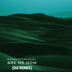 Dj J Instinct - Are We Now Feat. Beverly Sky (djiremix)