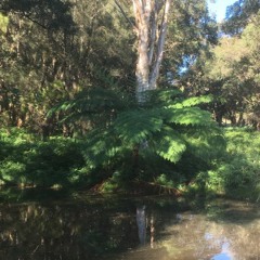 Lachlan Reserve, Sydney, Australia