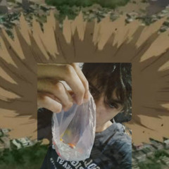 Palabrerío de Porrito(Tributo a AF2008)