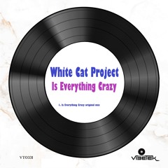 Is Everything Crazy (original mix)