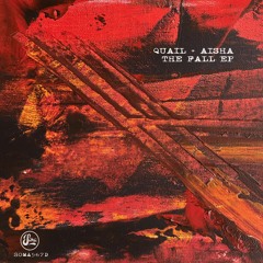 Quail + AISHA - Warschauer (Soma 567d)