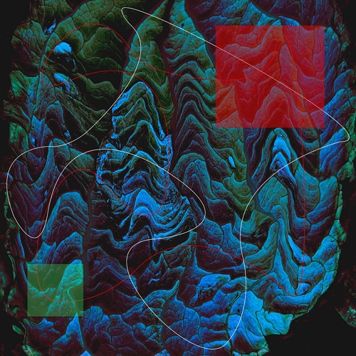 c o m t e - Petra's Stone [Empty Space]