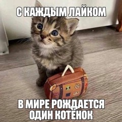 INSTASAMKA - ЗА ДЕНЬГИ ДА