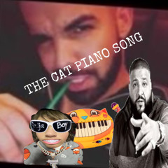 Cat Piano Song