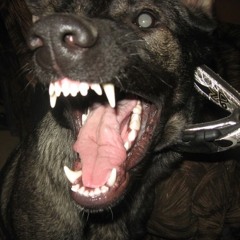 rage