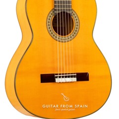 Flamenco Guitar Amalio Burguet 2F