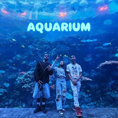 AQUARIUM