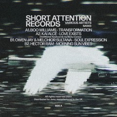 PREMIERE: Boo Williams - Transformation [Short Attention]