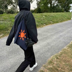 ShuttleLandingADHS.wav