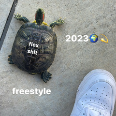 2023FREESTYLE