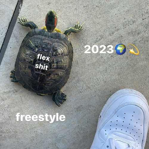 2023FREESTYLE