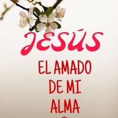 The_Full_Price 🌺🌱🌹 Justo Precio dió el Rey David-🌹🎻🎶